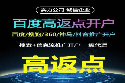 百度推广运营实战：成功案例解析